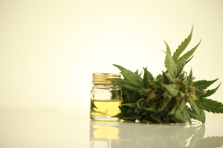 cannabis oil cbdの写真素材