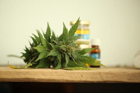 cannabis oil cbdの写真素材