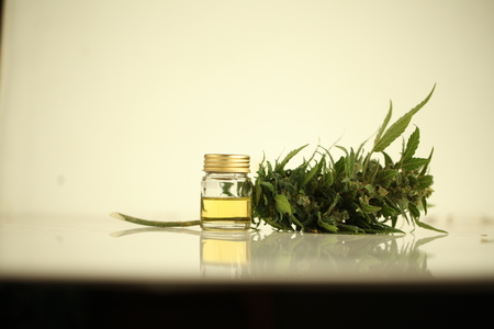 cannabis oil cbdの写真素材