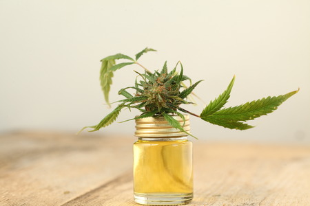 marijuana medical cannabis oil cbdの写真素材