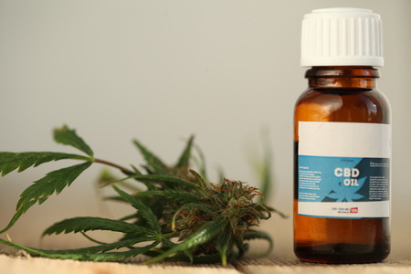 marijuana medical cannabis oil cbdの写真素材