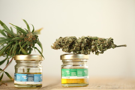 marijuana medical cannabis oil cbdの写真素材