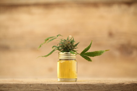 marijuana medical cannabis oil cbdの写真素材