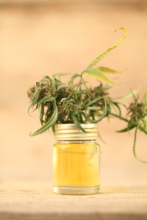 marijuana medical cannabis oil cbdの写真素材