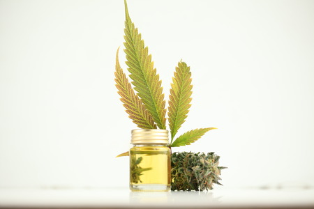 marijuana medical recreation cannabis oil cbdの写真素材