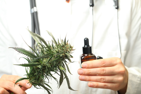 doctor hand hold and offer to patient medical marijuana and oil. Cannabis recipe for personal use, legal light drugs prescribe, alternative remedy or medication,medicine conceptの写真素材