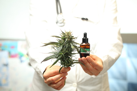 doctor hand hold and offer to patient medical marijuana and oil. Cannabis recipe for personal use, legal light drugs prescribe, alternative remedy or medication,medicine conceptの写真素材