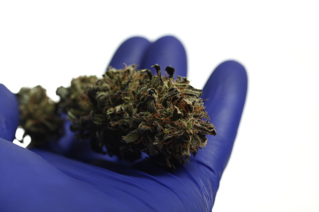 medical marijuana scientific researchの写真素材