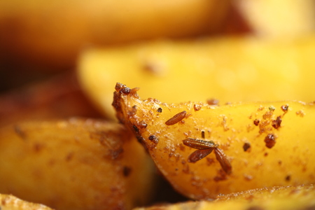 fried in ghee with spices pieces of potatoesの写真素材