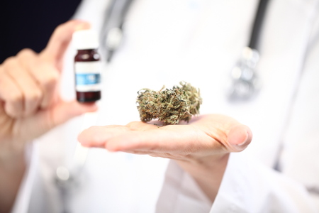 medical marijuana in the hand of a doctor. cannabis alternative medicineの写真素材