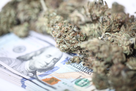 cannabis business concept. Medical Marijuana and Moneyの写真素材