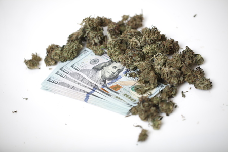 cannabis business concept. Medical Marijuana and Moneyの写真素材