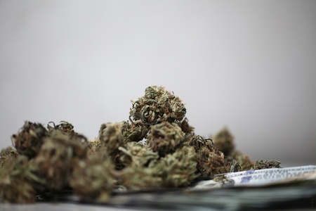 cannabis business concept. Medical Marijuana and Moneyの写真素材