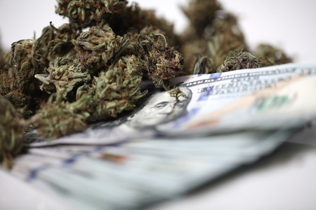 cannabis business concept. Medical Marijuana and Moneyの写真素材