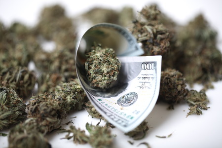 cannabis business concept. Medical Marijuana and Money