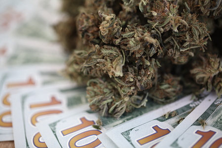 cannabis business concept. Medical Marijuana and Moneyの写真素材
