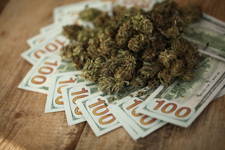 cannabis business concept. Medical Marijuana and Moneyの写真素材