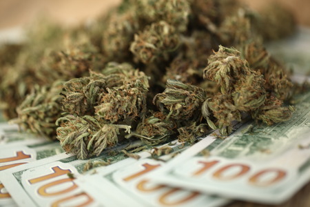 cannabis business concept. Medical Marijuana and Moneyの写真素材
