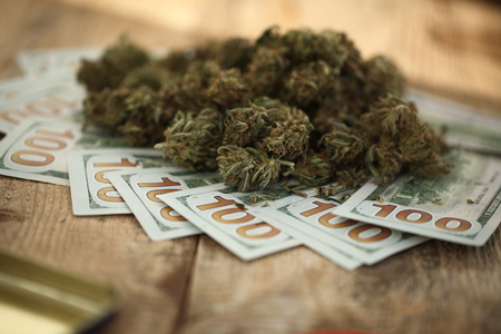cannabis business concept. Medical Marijuana and Moneyの写真素材