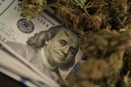 cannabis business concept. Medical Marijuana and Money