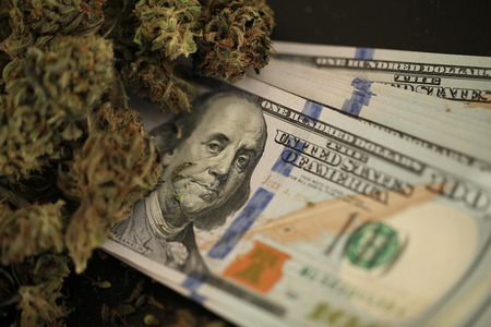 cannabis business concept. Medical Marijuana and Moneyの写真素材