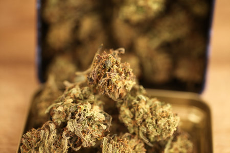 cannabis business concept. Medical Marijuana and Moneyの写真素材