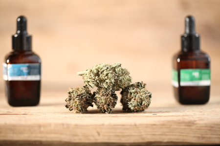 marijuana medical recreation cannabis oil cbdの写真素材