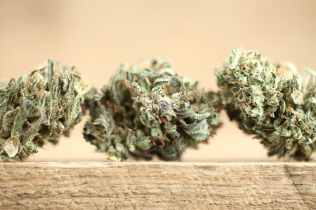 marijuana medical recreation cannabis oil cbdの写真素材