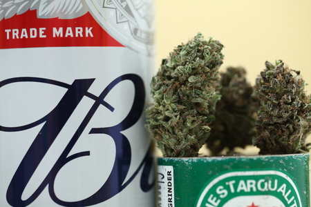 Belarus, Minsk, March ,10 :  Budweiser popular world quality beer and medical cannabis marijuanaのeditorial素材