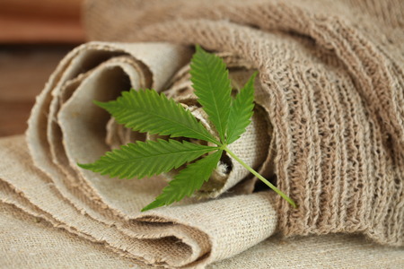 cannabis leaf hemp fabric textureの写真素材
