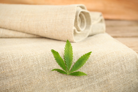 cannabis leaf hemp fabric textureの写真素材