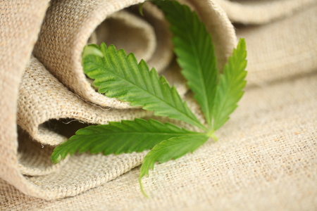 cannabis leaf hemp fabric textureの写真素材