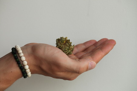 dry medical cannabis marijuana handの写真素材