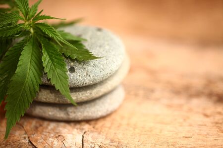 Medical marijuana cannabis cbd oilの写真素材