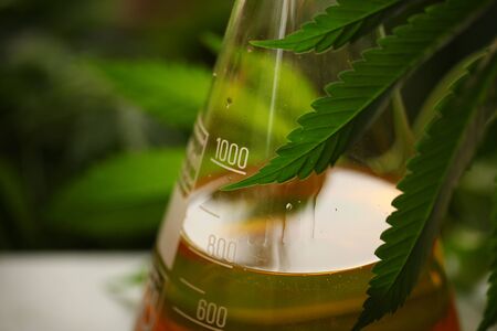 Medical marijuana cannabis cbd oilの写真素材