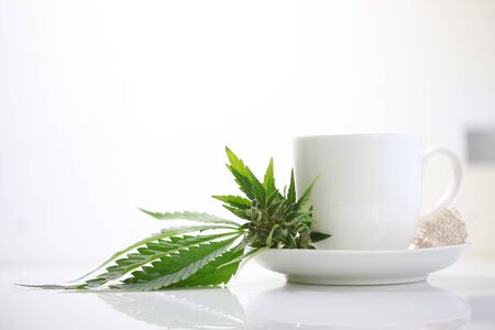 Hemp tea with medical cannabis leavesの写真素材