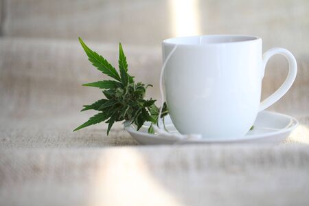 Hemp tea with medical cannabis leavesの写真素材