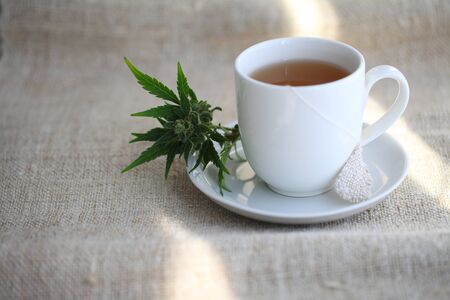 Hemp tea with medical cannabis leavesの写真素材