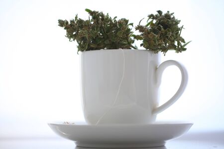 Hemp tea with medical cannabis leavesの写真素材