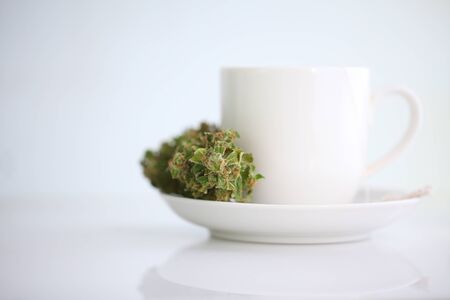 Hemp tea with medical cannabis leavesの写真素材