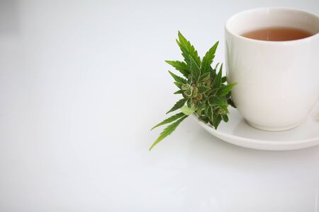 Hemp tea with medical cannabis leavesの写真素材