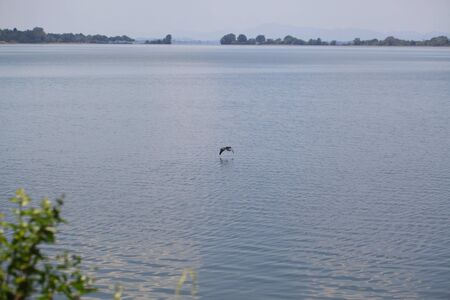 Sri Lanka, Colombo, March 2014 .  view from window  car  road  landscapeのeditorial素材