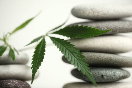Medical marijuana cannabis cbd oilの写真素材