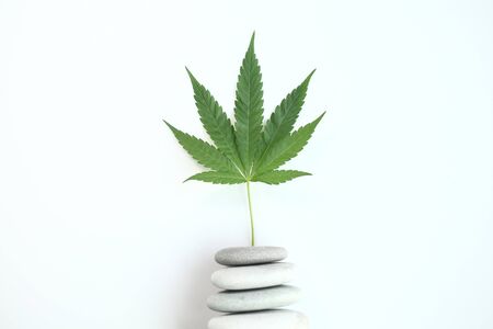 Medical marijuana cannabis cbd oilの写真素材