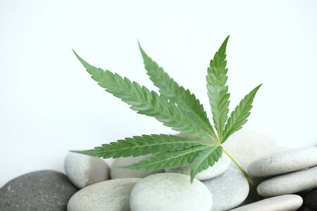 Medical marijuana cannabis cbd oilの写真素材