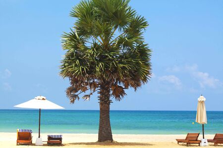 Sri Lanka, Colombo,March 2014. beach resort tropicalのeditorial素材