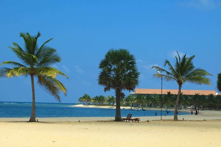 Sri Lanka, Colombo,March 2014. beach resort tropicalのeditorial素材