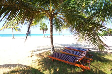 Sri Lanka, Colombo,March 2014. beach resort tropicalのeditorial素材