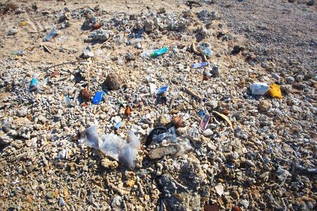 Sri Lanka, Colombo,March 2014. beach resort tropicalのeditorial素材