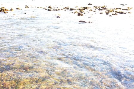 Sri Lanka, Colombo,March 2014. beach resort tropicalのeditorial素材